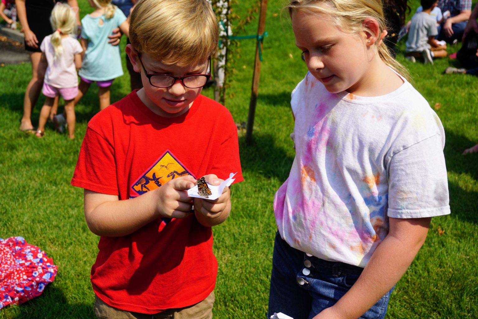 Batty’s Butterfly Release Sacramento Children's Museum