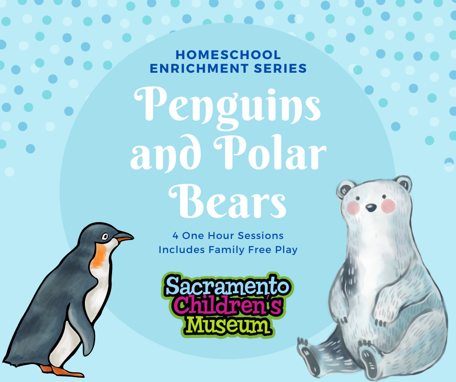 April Homeschool Enrichment Series:  Polar Opposites