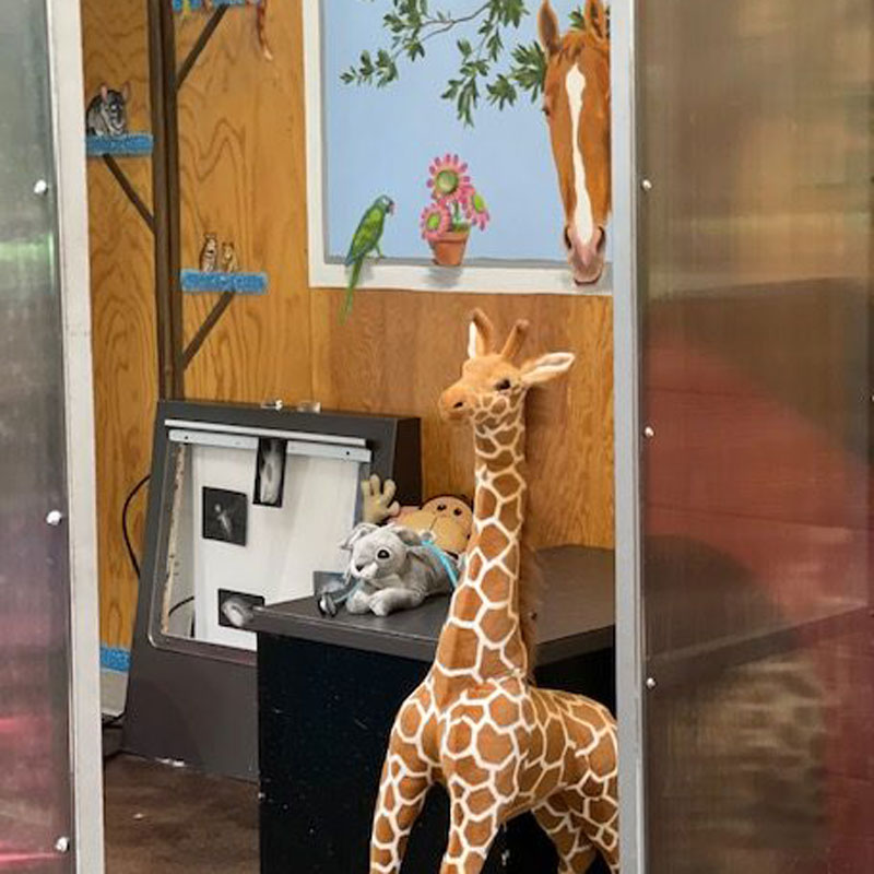 Play vet's office is shown, with stuffed animals and x ray equipment.