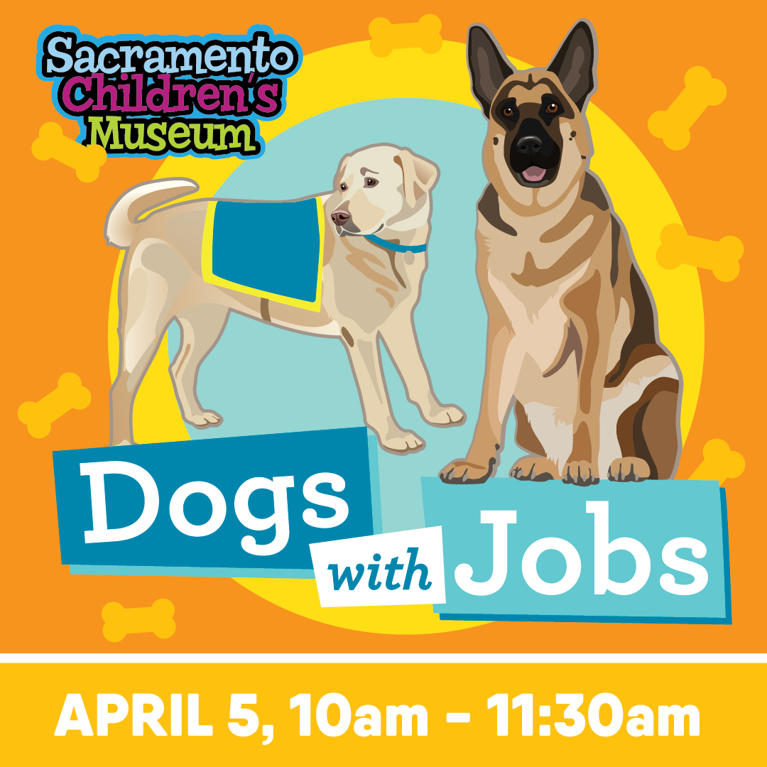 Sacramento children's museum logo over images of two dogs on an orange background over the words 'Dogs with Jobs', April 5, 10am - 11:30 am