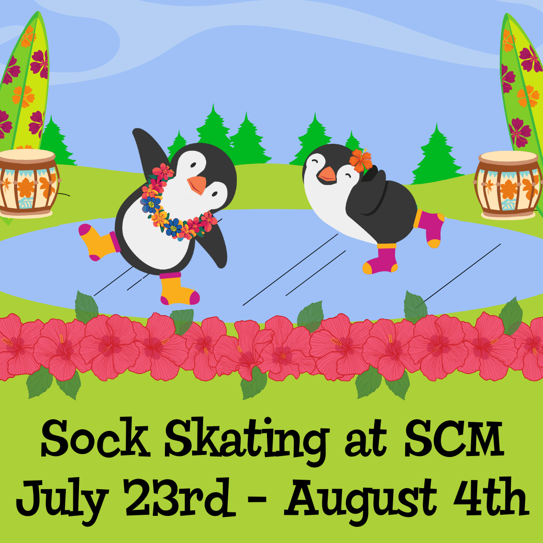 two penguins skate on socks, surrounded by Hawaiian flowers, drums and surfboards.